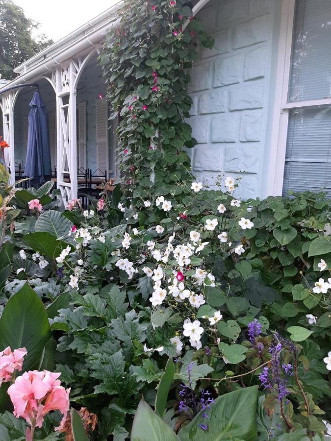 Adley House Bed and Breakfast Oudtshoorn Eksteriør billede